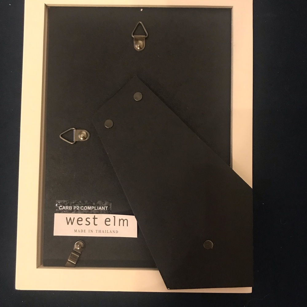 West elm picture frame